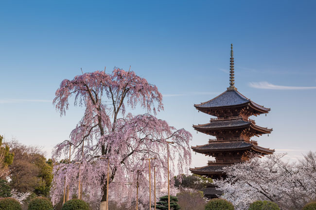 To-ji, Kyoto