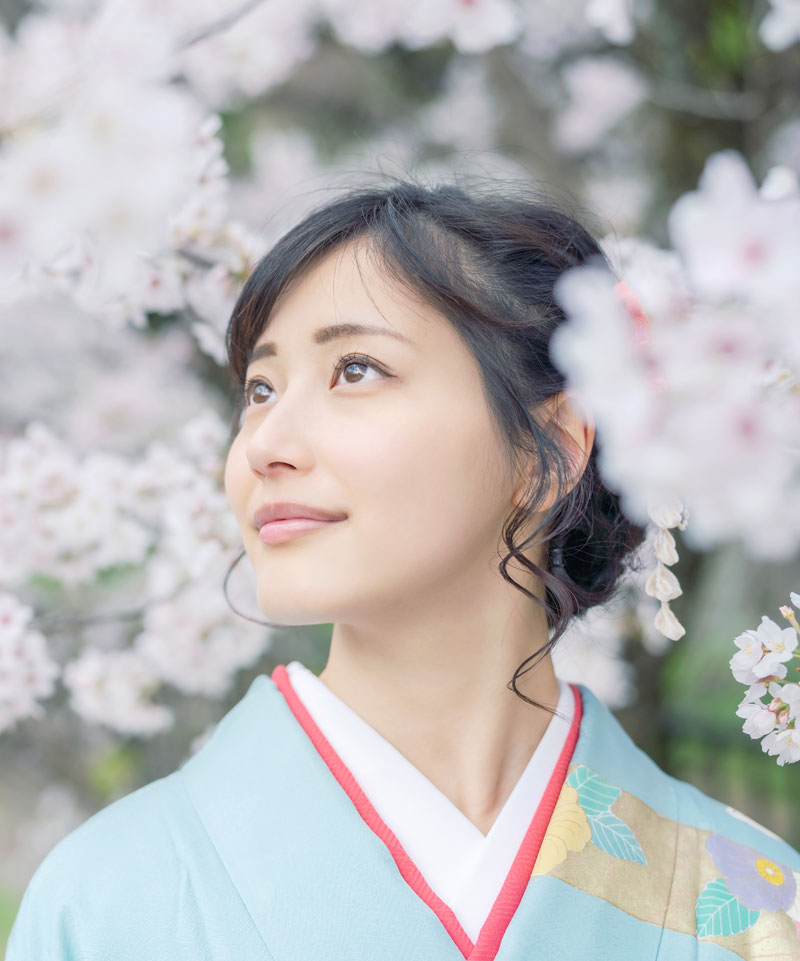 Fioritura di ciliegio in Giappone