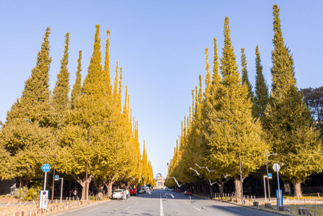 Jingu Gaien, Tokyo