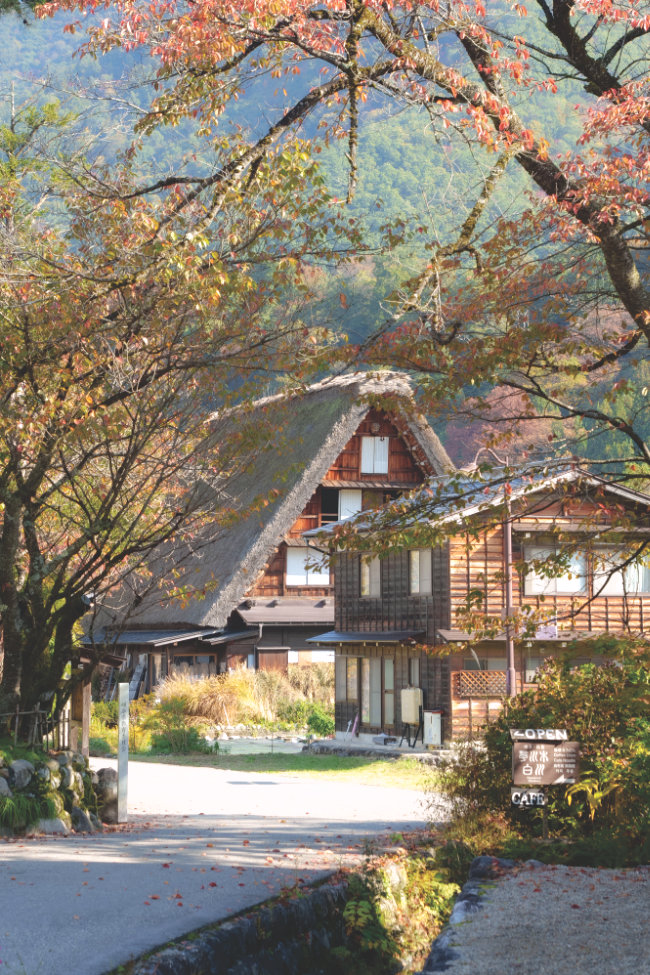 Shirakawago